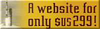 affordable website price