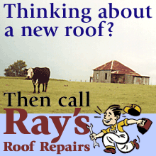 ad for ray's - thinking about a new roof?